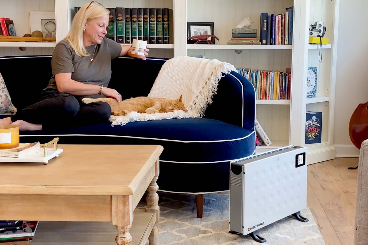 A woman and a cat on a couch with a Power Panel near by.