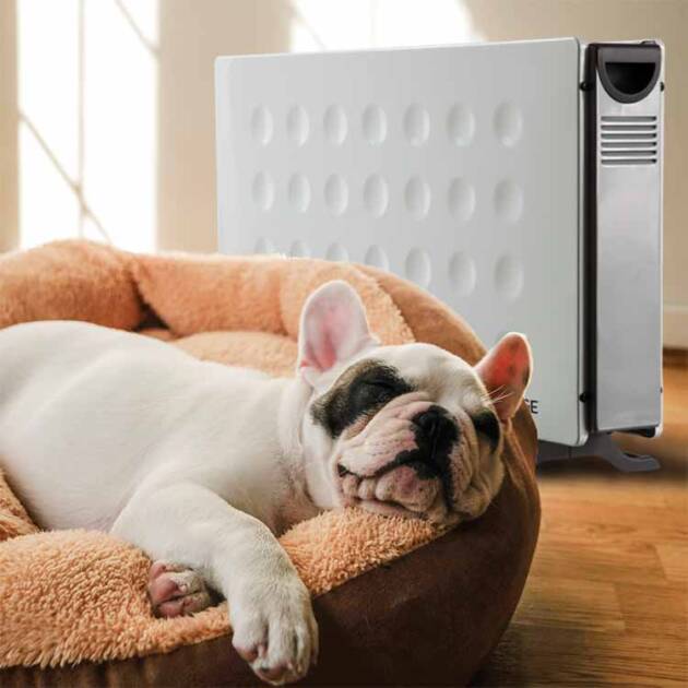 Cozy dog next to a Power Panel